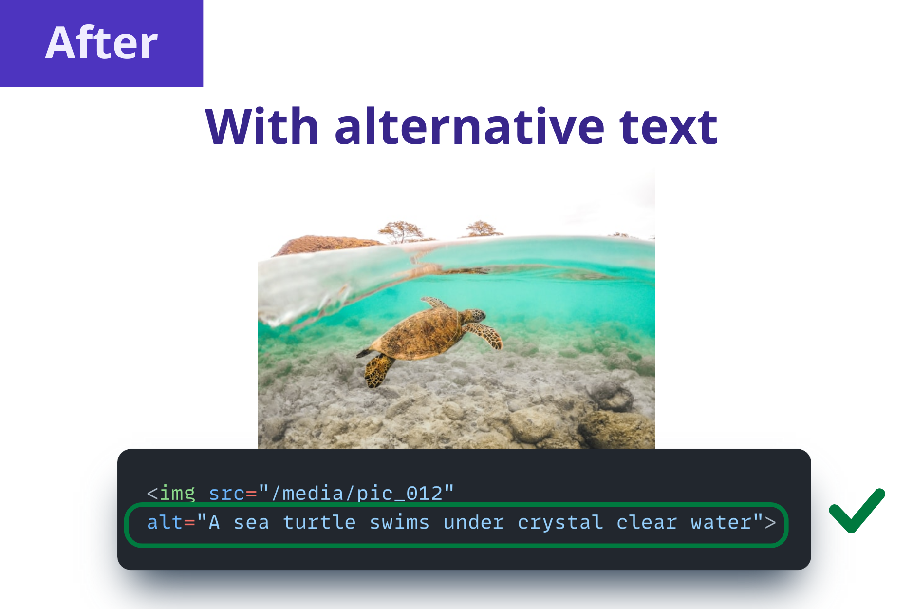 An image of a sea turtle swimming under clear water with descriptive alt text included for accessibility